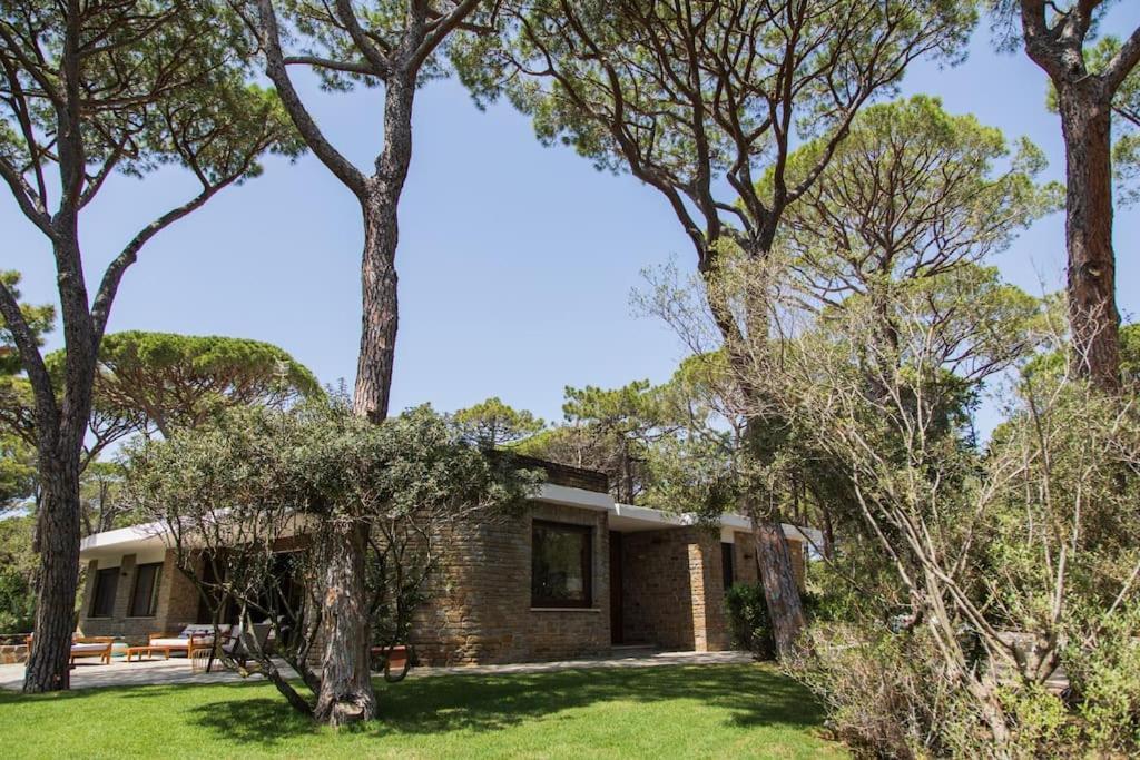 Villa Roccapini 카스틸리오네 델라 페스카이아 외부 사진