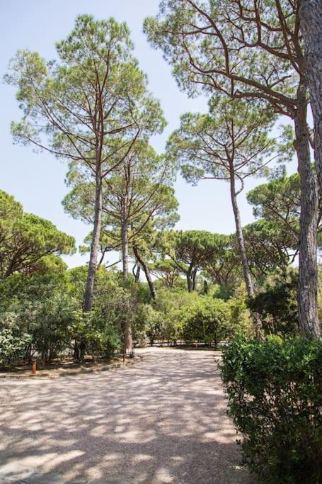 Villa Roccapini 카스틸리오네 델라 페스카이아 외부 사진